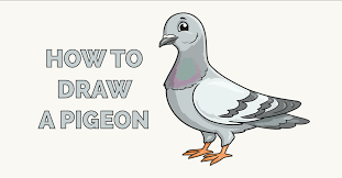 How To Draw A Pigeon - Really Easy Drawing Tutorial