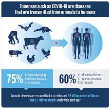 Zoonotic agents challenging the world every year afresh are influenza a viruses. Zoonotic Pandemics Viruses Animals And Humans In A Globalised World Proveg International