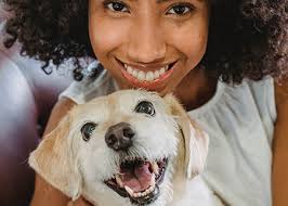 Obedience Training in Fort Lauderdale, FL ❘ Harmony K9 Training