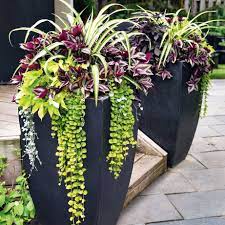 Planters Gardening For Beginners Porch Flowers Backyard Planters Plants