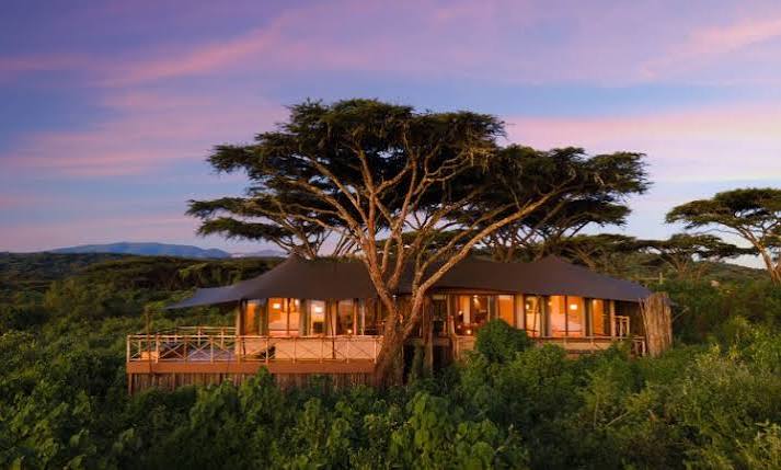 The Wilderness Ngorongoro Crater Edge | Tanzania Wildlife Safaris