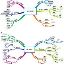 Learn about our medical review board Pdf Mind Map Our Way Into Effective Student Questioning A Principle Based Scenario