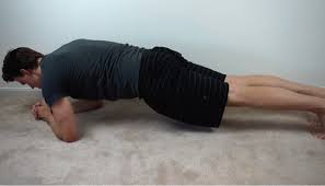 The workout, movements, and to reduce the risk of injury, before beginning this or any exercise program, please consult a healthcare provider for appropriate exercise prescription and. 30 Day Plank Challenge Plank For 5 Minutes On Last Day Take Your Success