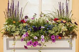 How to arrange flowers in a window box. 6 Simple Tricks For Beautiful Garden Containers Gardener S Path