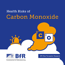 Often times a pilot light can be blown out and allow small amounts of natural gas to build up. Https Mobil Bfr Bund De Cm 364 Health Risks Of Carbon Monoxide Pdf