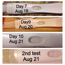 The best time of the day to take a pregnancy test is in the morning when the urine is more concentrated. When Can I Take A Pregnancy Test Pregnancy Test