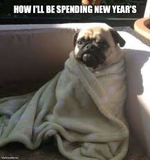 8 Funny New Year S Eve Memes To Keep You Laughing Into 2016 Cute Pugs Pugs Funny Pictures