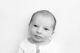 Milly Rose Photography