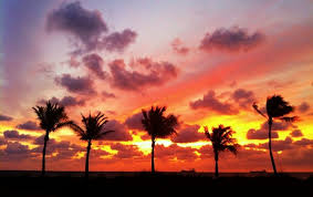 Visit us for broward's largest selection! Pin On Favorite Orlando Places