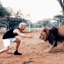 Animals Wild In 2020 Funny Animal Videos Funny Animals Cute Funny Animals