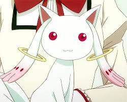 Image And Video Hosting By Tinypic Magical Girl Anime Kawaii Anime Anime Madoka, pmmm, kyubey, qb, damn. magical girl anime kawaii anime