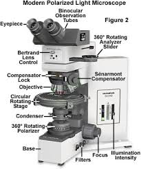 Its found under the stage of the microscope and its primary role is to control the amount of light that reaches the specimen. Polarized Light Microscopy Microscope Configuration Olympus Ls