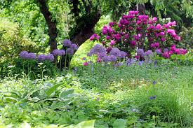Einen garten nach den persönlichen wünschen und vorstellungen gestalten. Gartenelemente Nabu