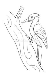 The original picture was done in 2006, so there wasn't much i could do about the line art or colors since woody himself was already a flattened layer. Coloring Pages Free Printable Woody Woodpecker Coloring Pages