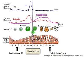 Oral Hormonal Contraceptives Sina Pharmacy Health Centre