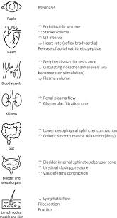 Image result for Midodrine