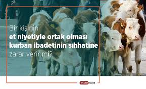 Iki Yasini Bitirmeyen Ancak Kapak Atmis Olan Sigir Cinsi Buyukbas Hayvanlarin Kurban Edilmeleri Caiz Midir