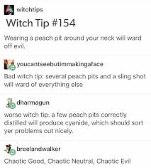 Are You A Good Witch Or A Bad Witch Tumbler The Point Is You Have To Eat The Peaches First The Worst Witch Witchy Witch