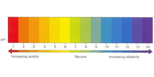 All You Need To Know About Ph And Nutrient Availability