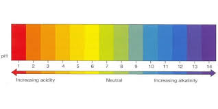 all you need to know about ph and nutrient availability