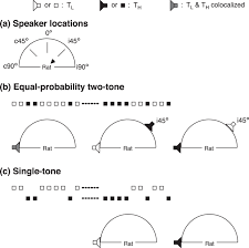 Responses Of Neurons In The Rats Inferior Colliculus To A