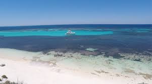 Beste strandhotels in greater perth bei tripadvisor: Perth Rottnest Island Stadtetrip Strande Quokkas Miriglobe Reiseblog