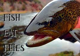 Foam Frog Frog Fish Pet Brown Trout