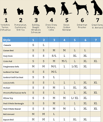 Pet Bed Size Chart Best Picture Of Chart Anyimage Org