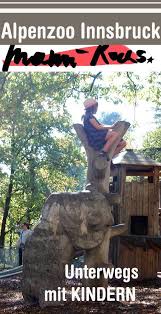 Ausflug In Den Alpenzoo Innsbruck Mami Rocks Ausflug Innsbruck Reisen Mit Kindern