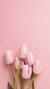 Flower Butterfly Nature Wallpaper