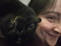 Toothless was a stray that I found in early 2021. During his first vet  visit, it was discovered he had FIV, so he had several health complications  stemming from it: Stomatitis –