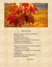 Here S A Mary Oliver Poem That Doesn T Parker J Palmer Facebook