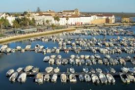 Image result for Faroa duvigneaud