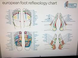 reflexology efr naturopathic school of hawaii