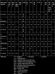 Internet Scientific Publications