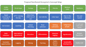 Discover that abiotic factors such as temperature and precipitation help determine what types of ecosystems exist in a given area. Concept Mapping Tropical Rainforest Internet Geography