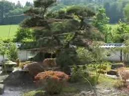 Ein Japanischer Garten Ist Ein Ort Der Ruhe Und Meditation Die Japansche Gartengestaltungskunst Setzt Auf Naturl In 2020 Japanischer Garten Zen Garten Zen Garten Mini