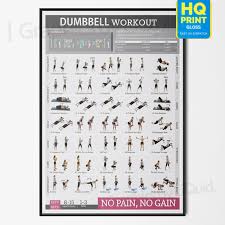 Details About Dumbbell Workout Chart Exercise Poster Perfect To Build Muscle A4 A3 A2 A1