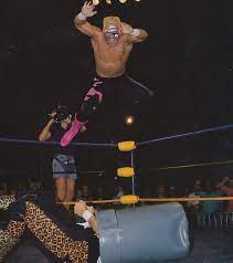 Off The Top Rope Cactus Jack Vs Sting Wrestling Superstars Sting Wcw Professional Wrestling