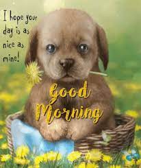 Good morning animated gif pics for sending to your friend, beloved one or to your family. Good Morning Puppy Gif Goodmorning Puppy Cute Discover Share Gifs Good Morning Animation Cute Good Morning Cute Good Morning Quotes