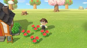 They can be watered with a watering can to breed them, which can produce hybrid flowers, and, prior to animal. Animal Crossing New Horizons Gold Roses How To Get Them Millenium