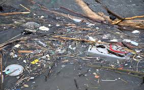 بحث عن تلوث المياه Ra2ed