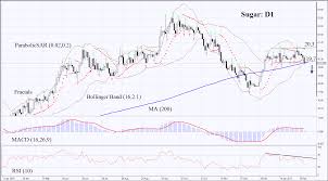 c sugar price forecast global sugar surplus expected this