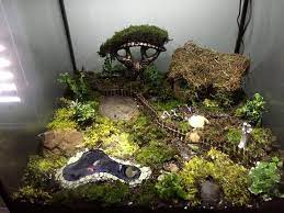In A 30 Gallon Aquarium Fairy Garden Hermit Crab Tank Garden Terrarium