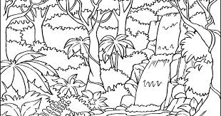 Tropical rainforests have distinct characteristics that support a wide variety of different species. Tropical Rainforest Animals Easy To Draw Novocom Top