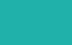 You can use more than 20 blue green gradient background in your designs project. 2560x1600 Light Sea Green Solid Color Background