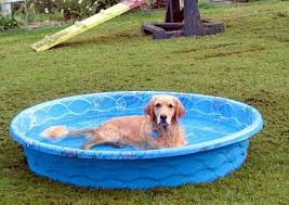 Hard Plastic Kiddie Pool With Slide Walmart Dog Pool Plastic Pool Kiddie Pool
