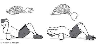 Cluneal nerve entrapment myofascial release. Lumbo Pelvic Pain Part One