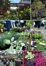 Der Lenzmarkt Alle Sinne Werden Wach Bremen Blog Kultur Events In 2019 Bremen