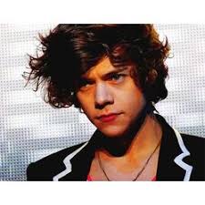 Harry Styles Love Stories Finished Stories